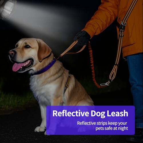 Hands Free Dog Leash by Kazazoo (ORANGE Bungee / M)