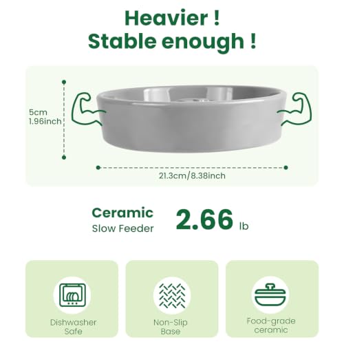 Slow Feeder Dog Bowls Anti (Grey)