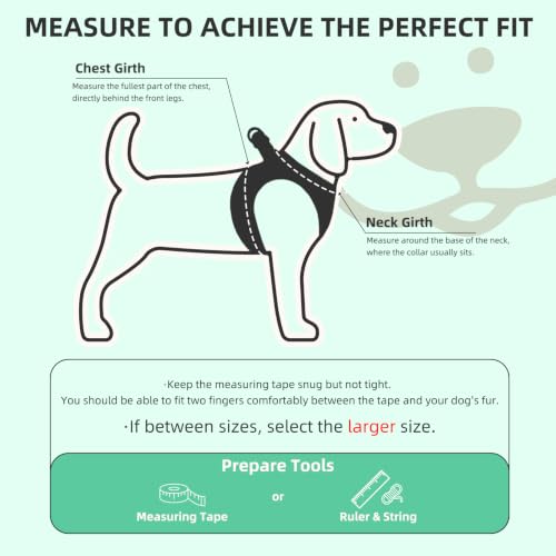 Adjustable Dog Harness Collar and Leash Set Step in No Pull Pet Harness for Small Medium Dogs Puppy and Cats Outdoor Walking Running (Solid Green / XS (CHEST 13"-14.5"))