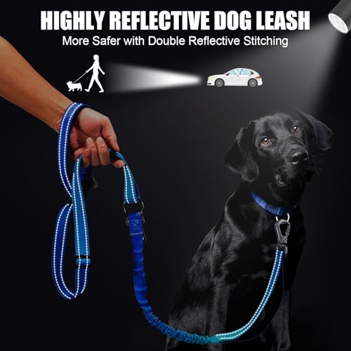 Heavy Duty Hands Free Dog Leash (XL - 3 Handles, 5.4-7.0 FT Length / Gradient Cobalt)