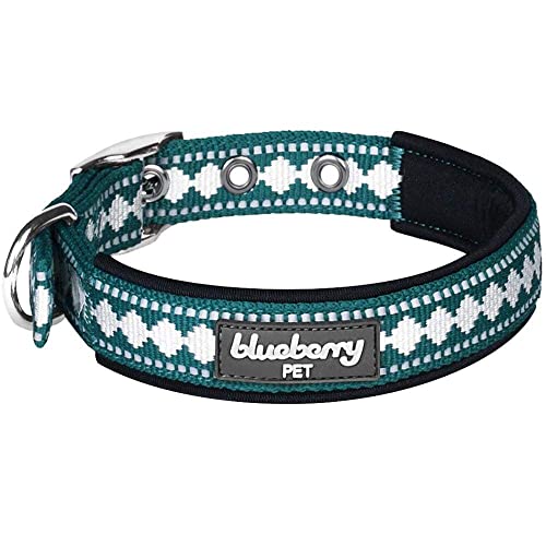 Reflective Jacquard Dog Collar with Neoprene Padding & Metal Buckle (Small / Metal Buckle-Teal Blue)