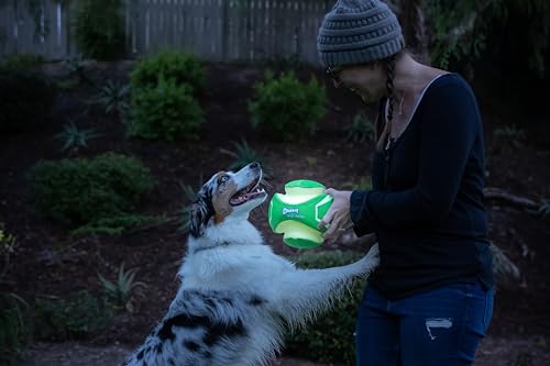 Kick Fetch Dog Toy Ball (Small / Max Glow)