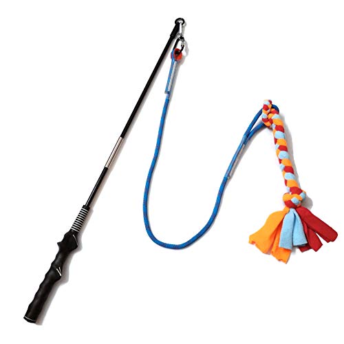 Interactive Flirt Pole Toy for Dogs Chase