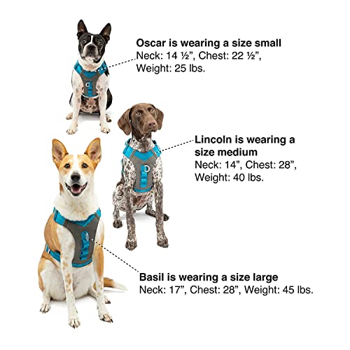 Journey Air Dog Harness (X-Large / Coral)