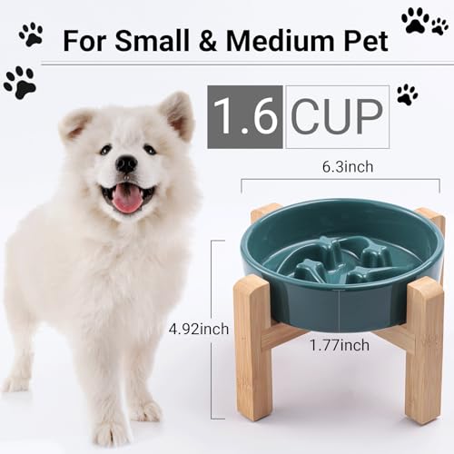 Ceramic Slow Feeder (Stars mark-Forest Green / 8.26in)