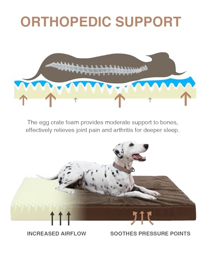 Orthopedic Dog Bed for Large Dogs with Waterproof Lining (Brown / 35.0"L x 22.0"W x 3.0"Th)