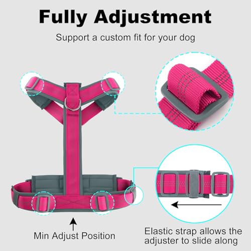 No Pull Dog Harness (M / Hot Pink)
