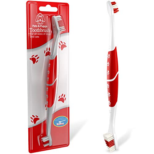 Pet Toothbrush for Dogs (Pack of 1 (Red))