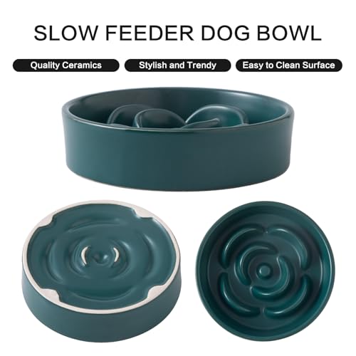 6'' Ceramic Slow Feeder Dog Bowls (6 inch / Green)