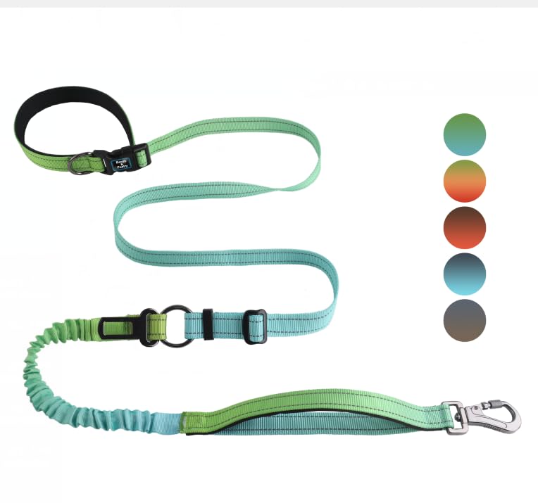 Hands Free Dog Leash for Medium Large Dogs Heavy Duty (GreenBlue)