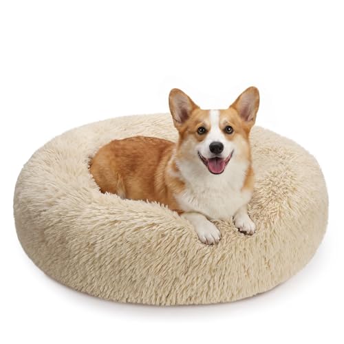 Orthopedic Dog Bed Comfortable Donut Cuddler Round Pet Beds Ultra Soft Washable Dog and Cat Cushion Bed (M(30’’x 30’’) / Ivory Beige)