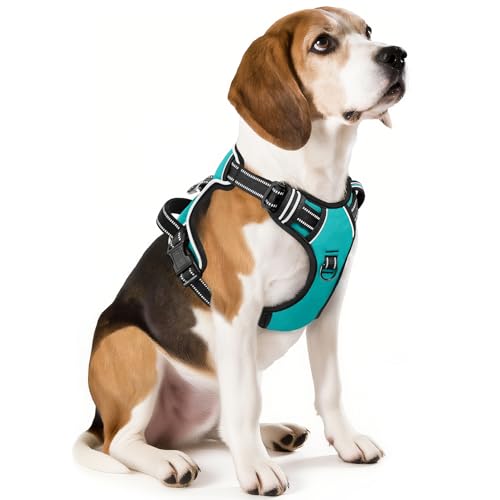Dog Harness No Pull Adjustable Padded Reflective Harness for Small Medium Large Dogs with Handle for Walking Training (M / Turquoise)