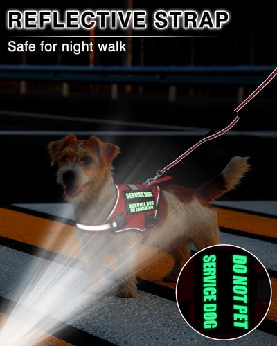 Service Dog Vest Harness and Leash Set+10 Patches Red XS (Extra-Small / Red)