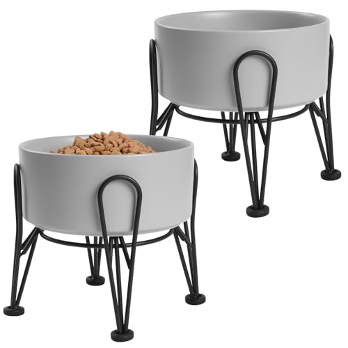 Elevated Dog Bowls (Gray / 3.6 Cups | 2 Pack | For Medium Dogs)