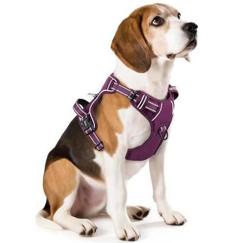 Dog Harness for Medium Dogs No Pull Dog Vest Harness with Soft Padded Handle Reflective for Outdoor Training (M / Purple(Matching Trim))