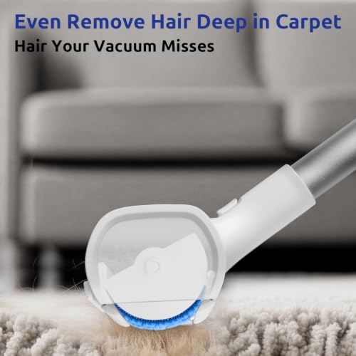 A3 Pro Carpet Roller for Pet Hair (Royal)