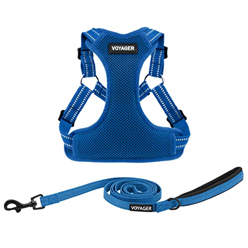 Voyager Adjustable Step (Harness Leash Set (Royal Blue) / L)