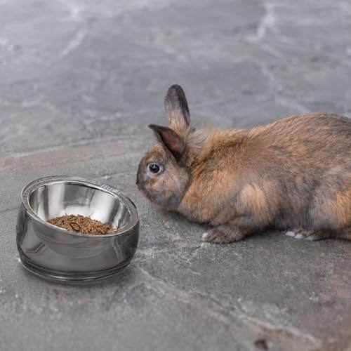 Oblik 15° Tilted Small Animal Bowls for Pet Food & Water 6 oz Stainless Steel Dish Removable (Smoky / Mini Pet)