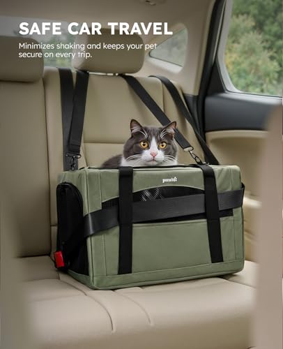 Cat Carrier Stable (Green Regular / 16.9"L x 11.0"W x 11.0"H)