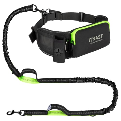 Hands Free Dog Leash for Medium Large Dogs (for One Dog / Black/Green)
