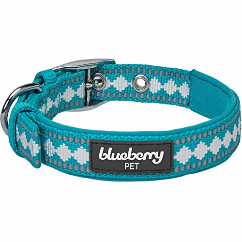 Reflective Jacquard Dog Collar with Neoprene Padding & Metal Buckle (Large / Metal Buckle-Peacock)