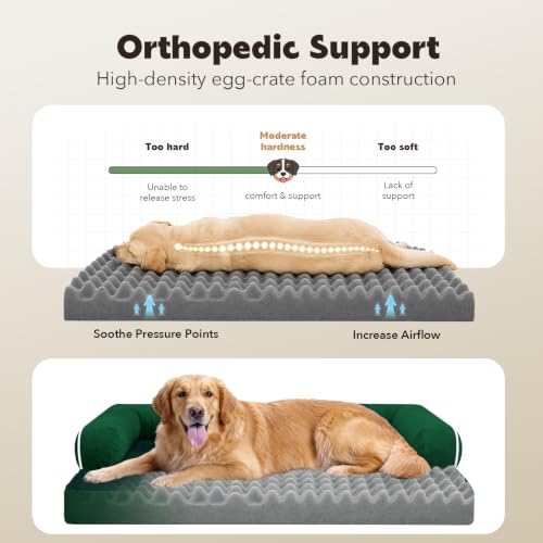Orthopedic XL Dog Bed with Bolster for Extra Large Size Dogs (42.0"L x 30.0"W x 8.0"Th / Emerald)