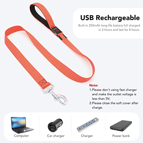 LED Light Up Dog Leash (Orange / 4FT)