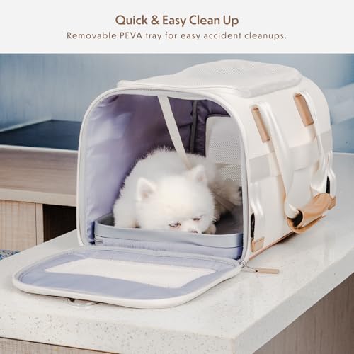 Argo Pawsport to Adventure Pet Carrier (Black)