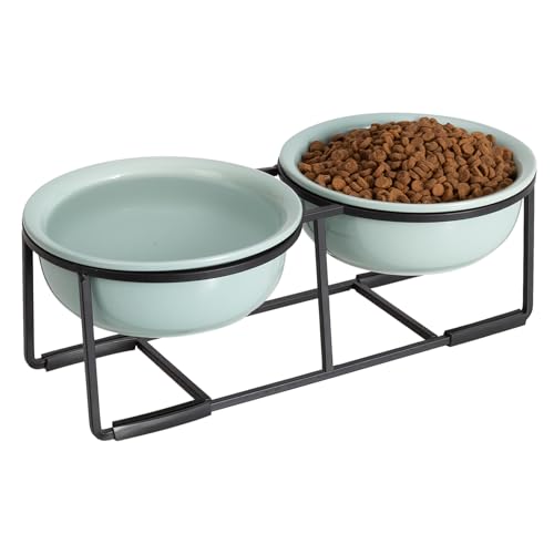 Ceramic Elevated Dog Bowl Set (Green / S × 2)