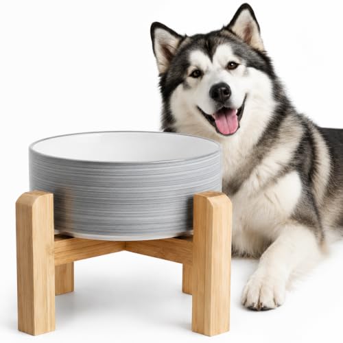 Elevated Ceramic Dog Bowl with Bamboo Stand (White Gray / 7.6Cup)