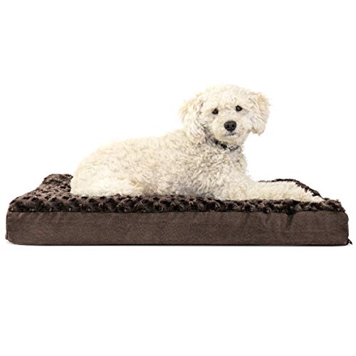 Orthopedic Dog Bed for Medium (Medium / Minky Chocolate)