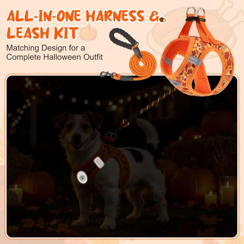 Small Dog Harness and Leash Set (Small(Chest Girth 14.5" - 16") / Autumn)