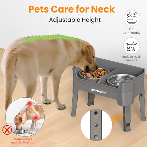Elevated Dog Bowls (Grey / Large)