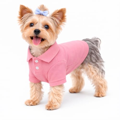 Basic Dog Polo Shirts Premium Cotton (XS (-6lbs) / Pink)