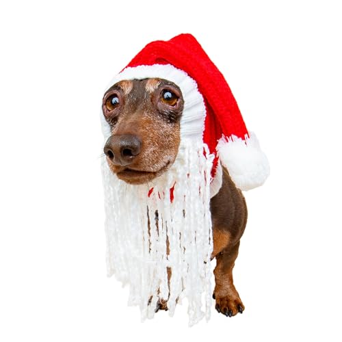 Christmas Santa Beard and Hat Costume (Santa w/Beard / Small)