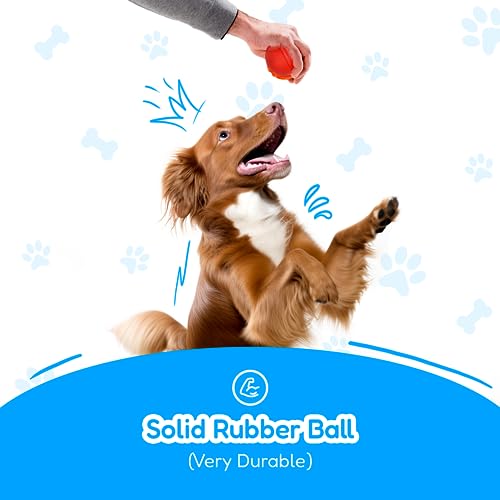 XL Dog Rope Toys for Aggressive CHEWERS (red, white, blue, orange / 4 Piece Set)