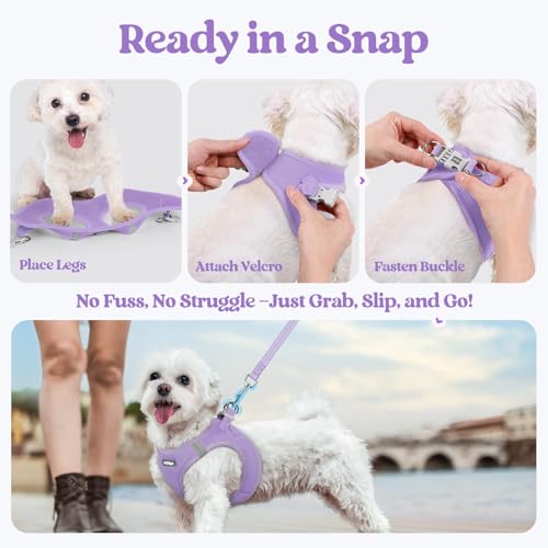 Dog Harness Medium Sized and Leash Set (Light Purple / Xl (chest: 20 - 21.8"))