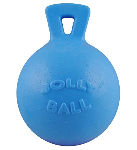 Tug-n-Toss Heavy Duty Dog Toy Ball with Handle, 4.5 Inches/Small, Blueberry, JP445BLUEBERRY (Blueberry / Small (4.5 in))