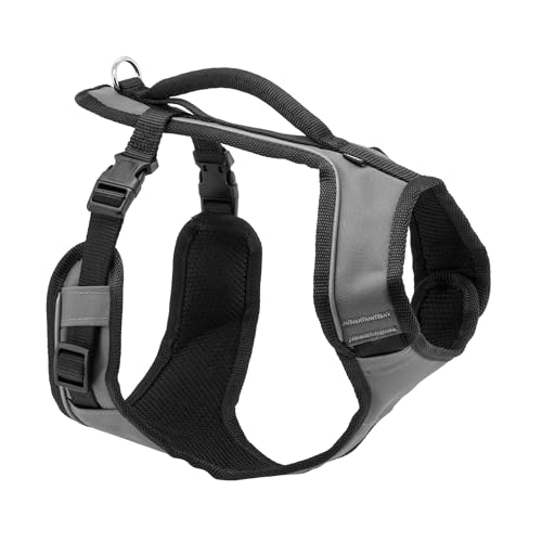 EasySport Dog Harness (Small / Charcoal)