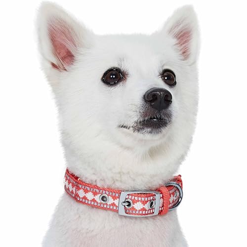 Reflective Jacquard Dog Collar with Neoprene Padding & Metal Buckle (Small / Metal Buckle-Coral)