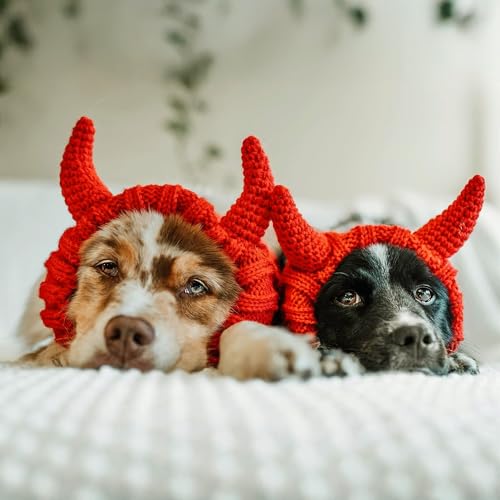 Red Devil Dog Costume (Devil / Small)