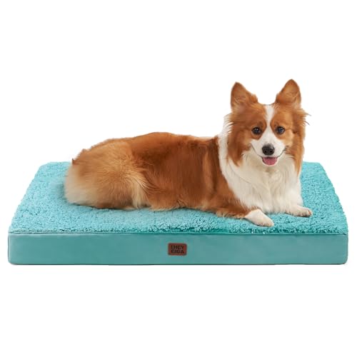 Orthopedic Dog Bed Large with Removable Washable Cover (35*23*3.5 inches / Turquoise Blue)