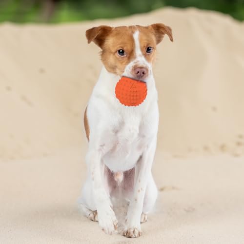 Interactive Squeaky Dog Chew Toy (Fuchsia, Green, Blue, Orange / Medium)