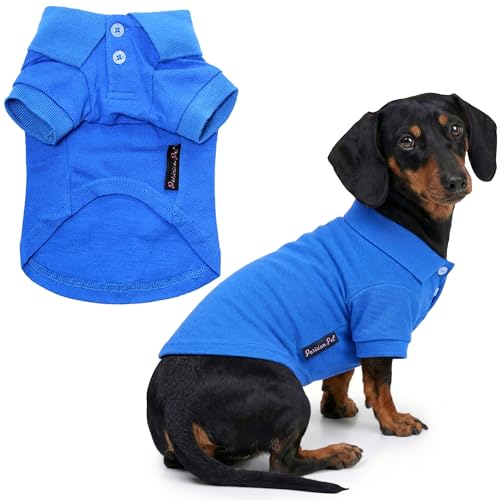 Dog Polo Shirt (XL / Blue Polo)