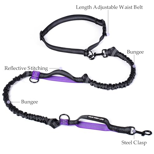 Hands Free Leash (Black Purple / 7FT Hands Free)