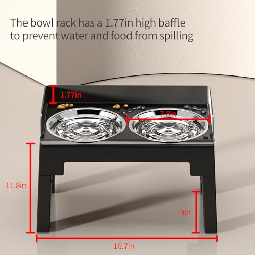 Elevated Dog Bowls for Medium and Large Dogs (2 Stainless Steel Bowls / Black)