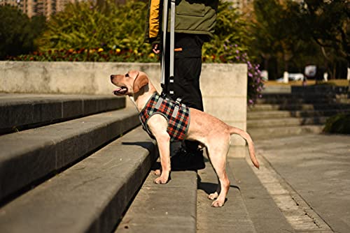 Dog Lift Harness (Medium / Chest-Orange)