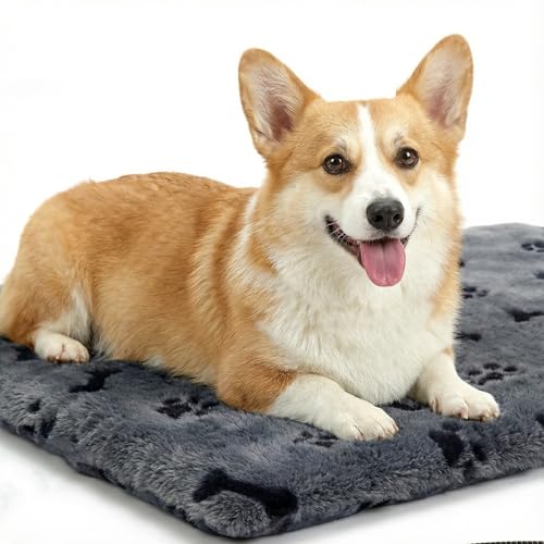 Pet Heating Pad for Cats Dogs (Gray / M: 20" x 16")