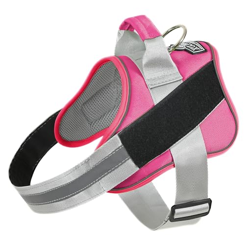 Dog Harness No (Large (Pack of 1) / Fuchsia)