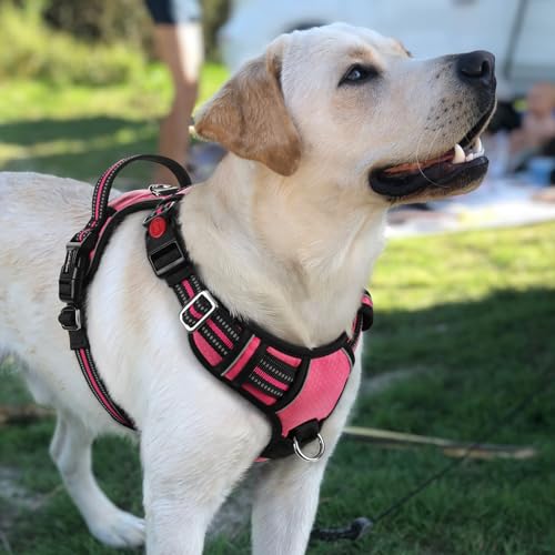 Dog Harness for Large (Pink / Large)